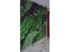 上海植物装饰墙