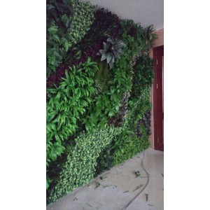 上海植物装饰墙