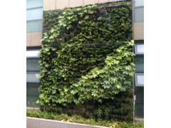 上海仿真植物墙公司