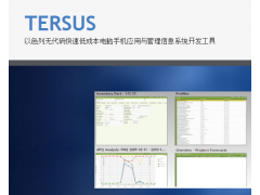 以色列Tersus无代码管理软件开发；管理软件；信息管理系统；信息系统