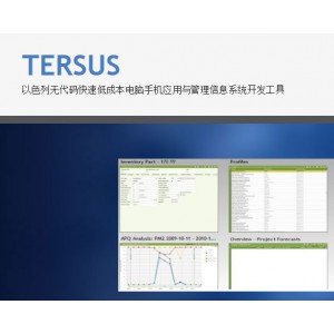 Tersus无代码低成本开发企业ERP系统