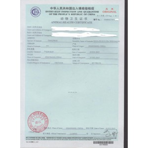 广州怎么办动物卫生证书