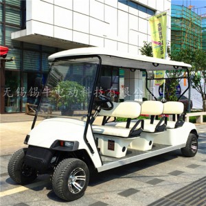 无锡6座电动高尔夫球车，游乐园观光代步车