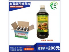 能让芽菜根须减少的芽菜益生菌营养液图1