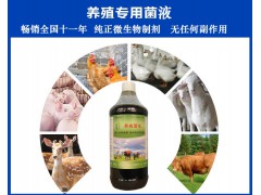 鸡舍里面喷洒什么药能把里面的臭味异味去掉图1