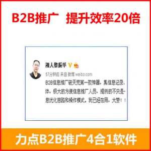 临安B2B信息推广软件咨询
