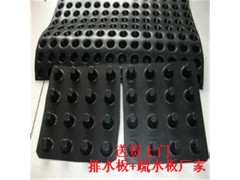 卷材防渗排水板20滤水排水板厂家图1