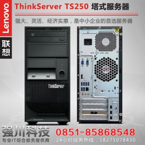 贵阳联想服务器总代理TS250塔式服务器特价促销