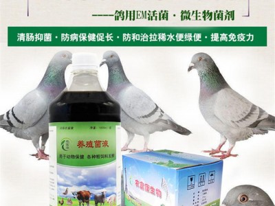 em菌液养鸽可以应用在哪些情况