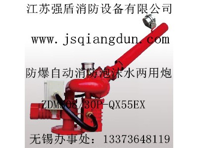 防爆自动消防泡沫水两用炮ZDMS0.8/30P-QX60EX