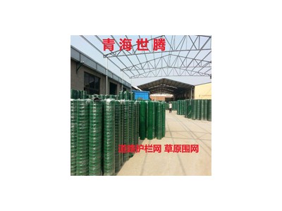 青海道路护栏网 双边丝护栏网 边框护栏网厂家直销