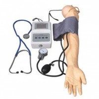 康谊牌KAY-S7高级手臂血压测量训练模型