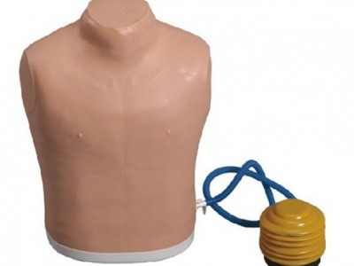 康谊牌KAY-66高级气胸处理模型气胸处理操作模型