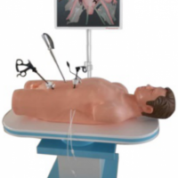 KAY-FQJ600 高仿真腹腔镜手术技能训练人体模型