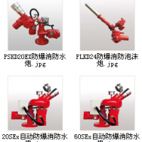 湖南3C认证防爆消防水炮，自动防爆消防泡沫水两用炮
