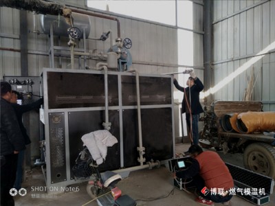 柳州博联燃气模温机耗气省配置高全自动
