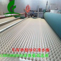 潍坊2公分1000g卷材排水板%200g白色土工布厂家