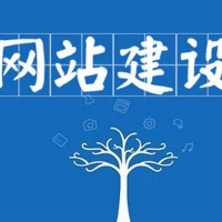 湖南网站建设推广外包公司_中安云城
