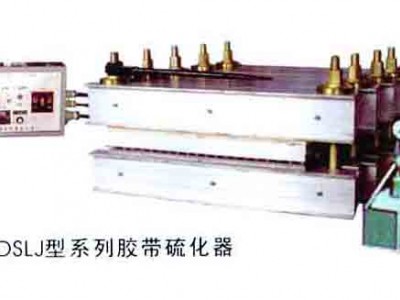 贵州硫化机 DGLJL-800硫化机图1