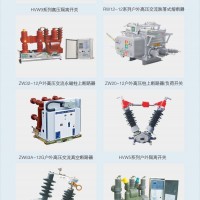 杭云电气技术有限公司-高压元器件系列