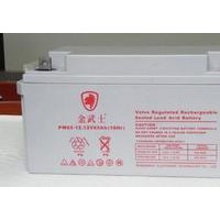 金武士蓄电池PH12V65AH 12-65AH免维护铅酸