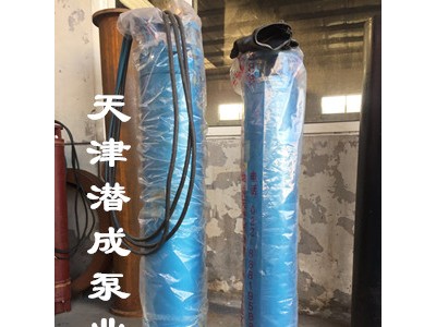 天津热水潜水泵厂家-质量好的热水潜水泵