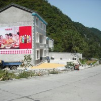 湖北武汉乡镇广告、刷墙体广告、军运会宣传广告