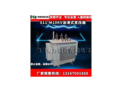 S11-M10KV油浸式变压器