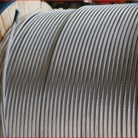 黑铁丝厂家销售 弹簧钢丝供应商 志达伟业钢芯铝绞线