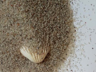 黄色海沙 室外沙坑用圆粒海沙 白色海沙厂家地址
