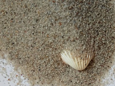 邦拓黄色圆粒海沙 30-50目天然海沙 室外沙坑用耐脏海沙