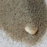 邦拓黄色圆粒海沙 30-50目天然海沙 室外沙坑用耐脏海沙