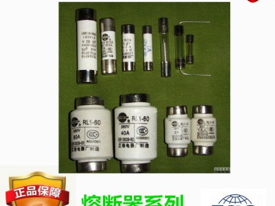 R010熔断器订做-芬隆品牌图1