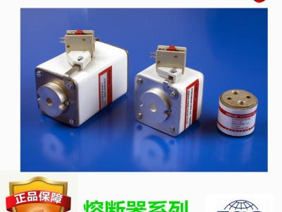 RS78快速熔断器订做-芬隆品牌图1