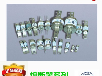 RGS8快速熔断器订做-芬隆品牌图1