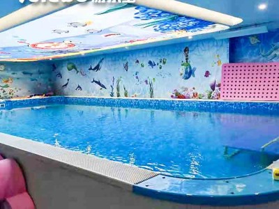 辽宁辽阳定制钢结构游泳池设备大型拼接式组装池设备