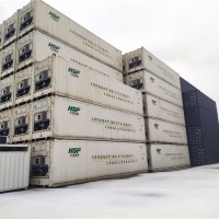 天津澳亚冷藏集装箱 40英尺冷藏箱 冷柜 冻柜大量出租出售