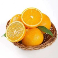 进口巴西美国橙子清关代理公司