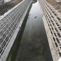 河北开元2M生态阶梯护坡护岸模具
