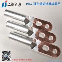 上炬 DTL2-35铜铝过渡双孔端子 摩擦焊接铜铝线鼻子