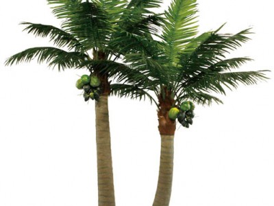 广州圣杰仿真椰子树，仿真树，假树厂家制作