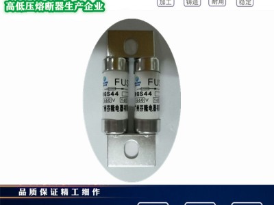 RGS44快速熔断器-芬隆品牌图1