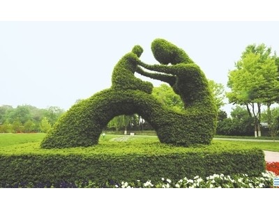 广州圣杰仿真植物雕塑，仿真绿雕，假植物绿雕厂家定制