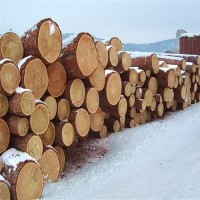 加蓬原木进口报关|上海港木材代理清关