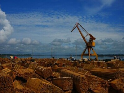 加蓬原木进口需要在国外做熏蒸吗|盐田港木材代理清关