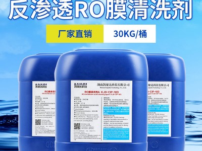 高效RO反渗透膜清洗剂 反渗透专用RO反渗透膜清洗剂