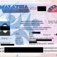 中马开设双边绿色通道 马来西亚签证 马来西亚工作签证