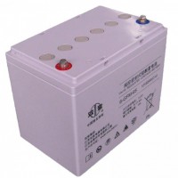 双登12V65AH蓄电池6-GFM-65铅酸免维护产品价格