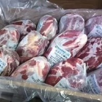 冻品肉类进口清关广州代理公司