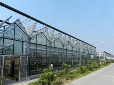 玻璃温室大棚造价 金坤玻璃大棚工程